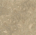 fossil limestone